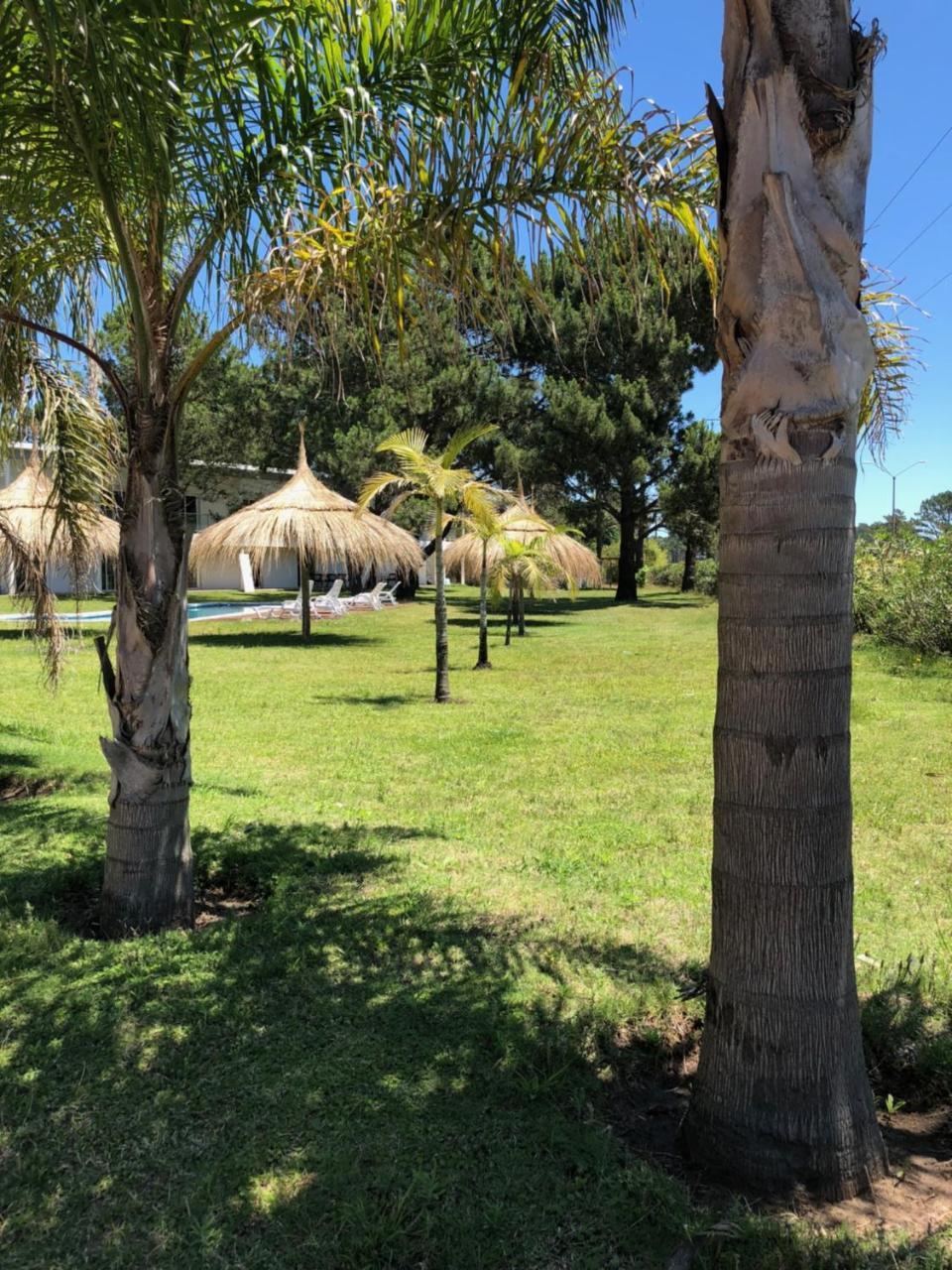 Arenas Del Sol Hotel Punta del Este Bagian luar foto
